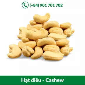 Hạt điều - Cashew_-20-09-2021-15-47-26.webp